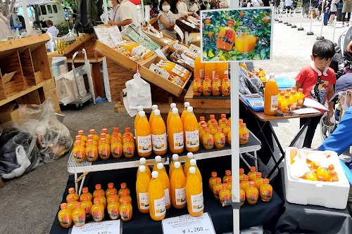  Marche of the Sun location image photo