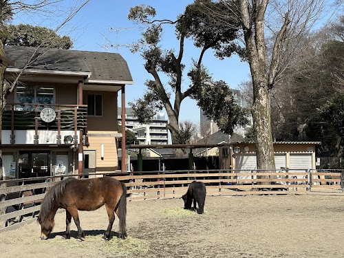  Yoyogi Pony Park location image photo