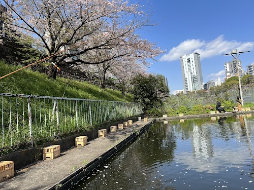  Ichigaya Fish Center location image photo