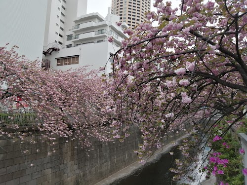 Nakameguro