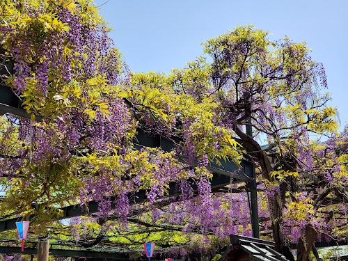  Kokuryo Shrine location image photo