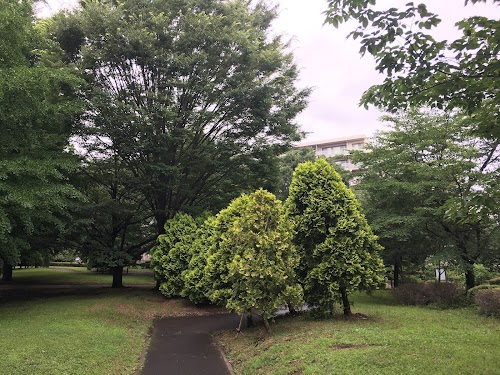 Musashi Kokubunji Park