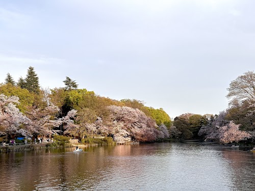 Inokashira Pond