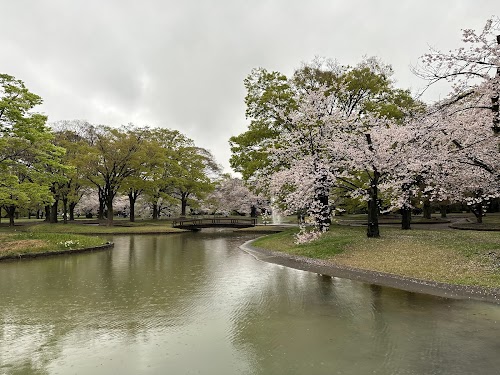  Yoyogi Park location image photo
