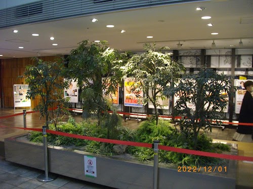  Shibuya Mark City location image photo