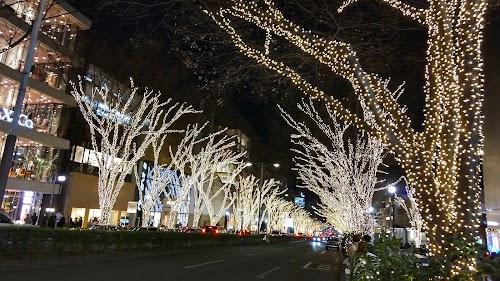 Omote-Sando Ave