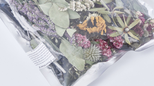 conservatory by edenworks/EW.Pharmacy