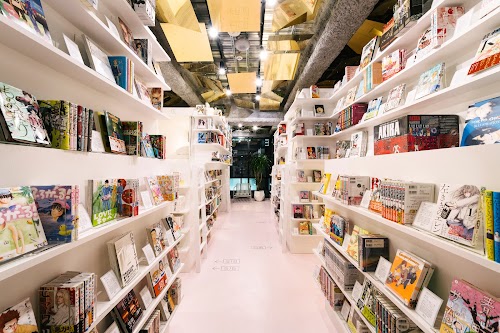 Manga Art Hotel