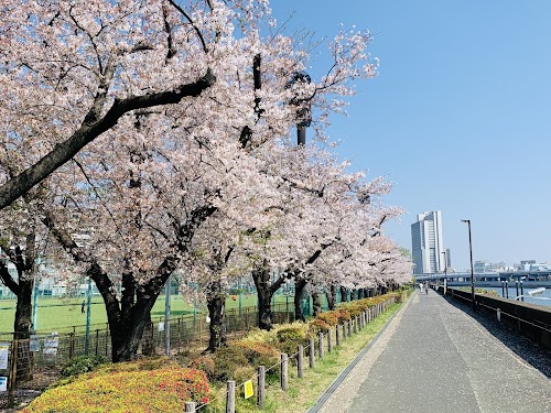  Sumida Park location image photo