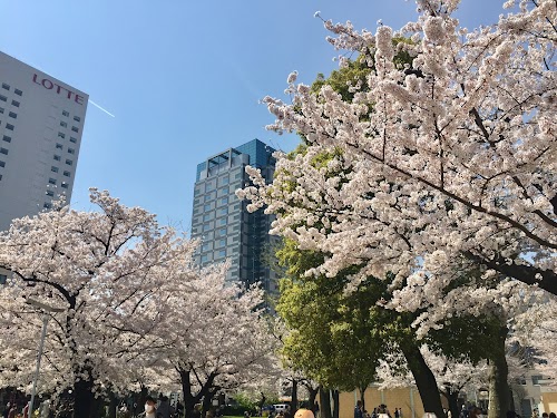  Kinshi Park location image photo