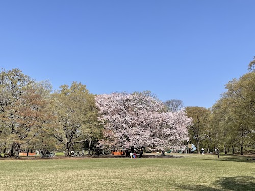 Nogawa Park location image photo