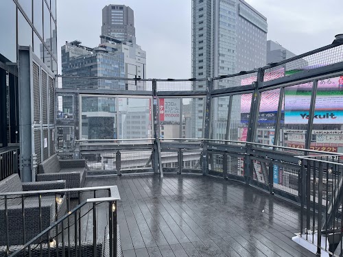 Mag's Park Rooftop Shibuya Crossing