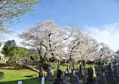 Somei Cemetery