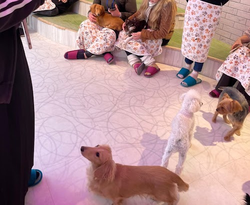 Dog Cafe RIO