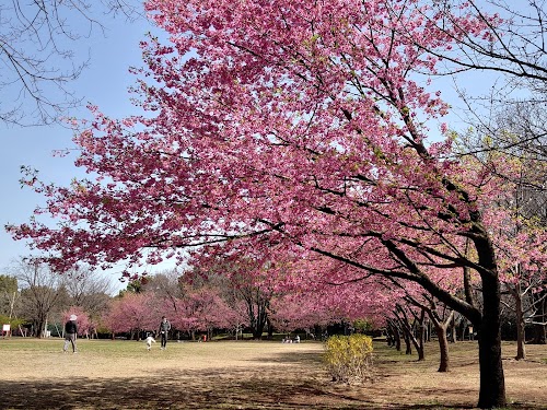 Oizumi Central Park