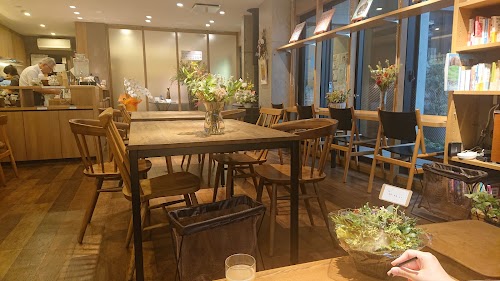 Cafe Koala & Lion & Sometimes Cheetahs