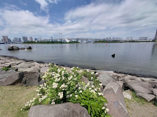 Statue of Liberty - Odaiba