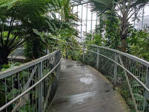 Greenhouse, Shinjuku Gyoen National Garden