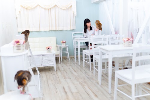  Owl Cafe Tokyo location image photo