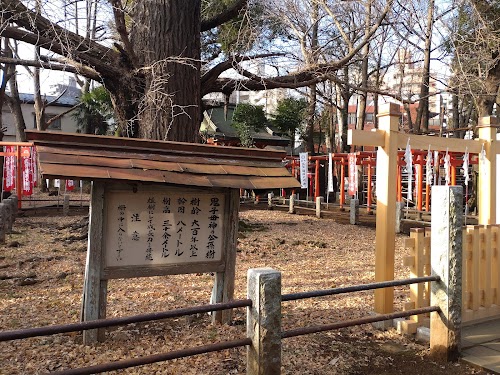 Ginkgo Tree at Kishimojin Temple