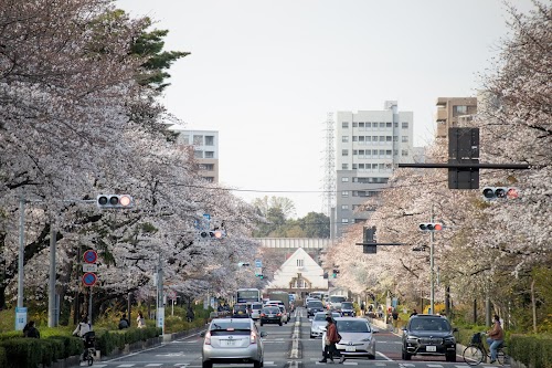 Kunitachi Station