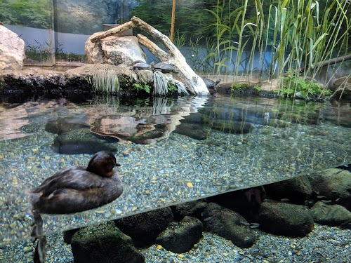 Aquatic Life Park
