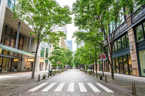 Marunouchi Naka-Dori Ave