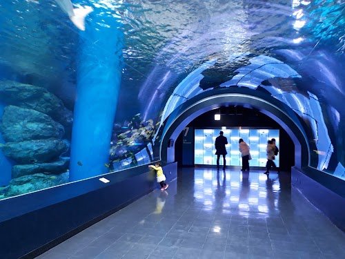 Maxell Aqua Park Shinagawa