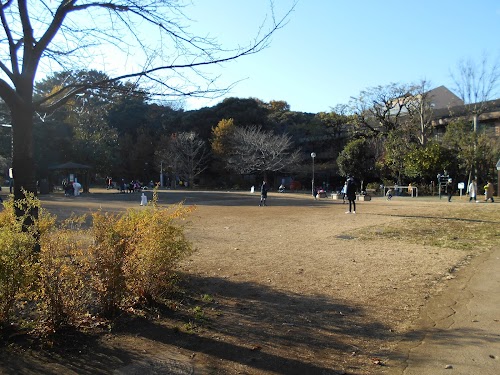 Shirokanedai Donguri Children's Playground