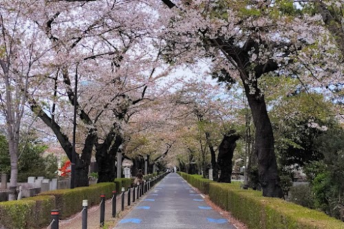 Aoyama Cemetery