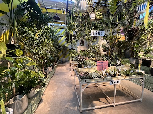 SOLSO PARK