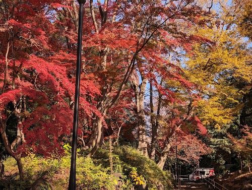 Momiji valley