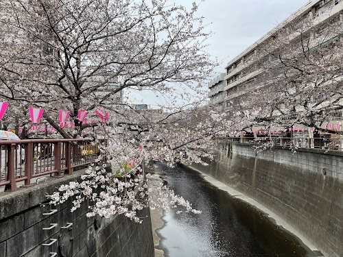 Meguro River Park