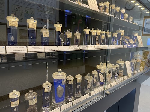 Meguro Parasitological Museum