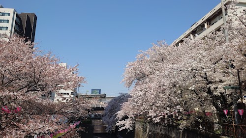 Naka-meguro Sta.