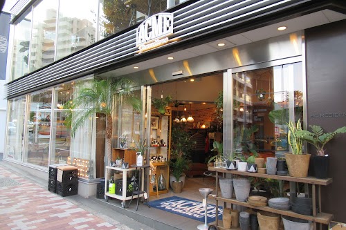 Acme Furniture