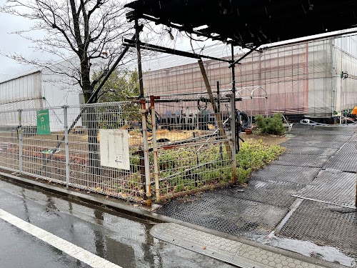 東京のいちご畑 加藤農園