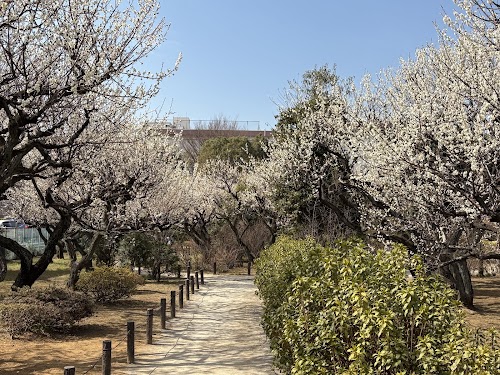 Tagara Plum Grove Park