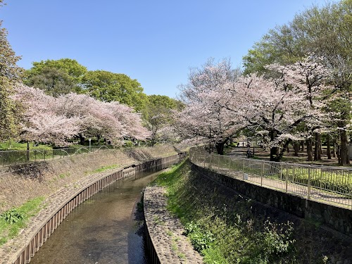Zenpuku-ji River Green Space