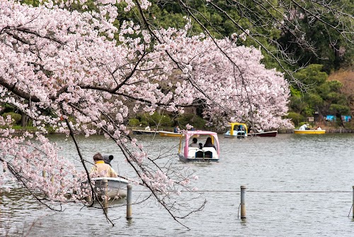Zenpukuji Park