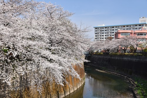 Otonashi Momiji Green Park
