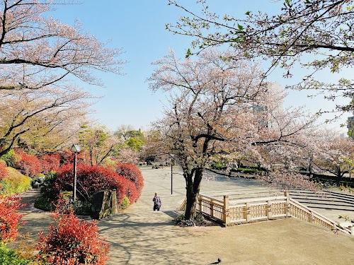  Asukayama Park location image photo