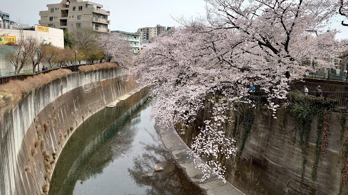 Otonashi Sakura Green Park