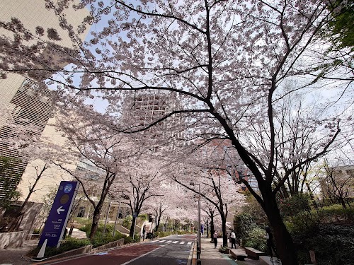 Roppongi Sakura-zaka