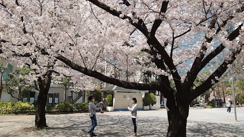 Higashi-Yatsuyama Park