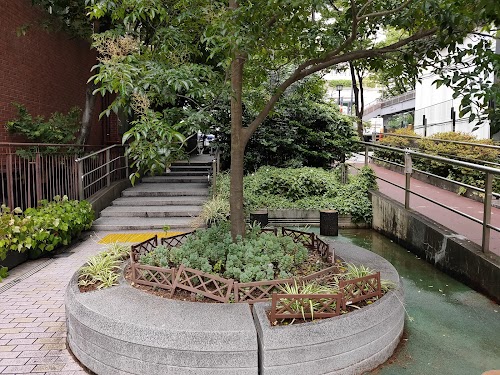 Cat St Shibuya