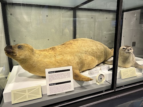 Polar Science Museum