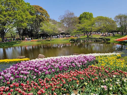 Tachikawa Park