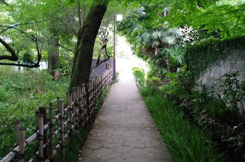 Otaka no Michi Masugata Pond Springs