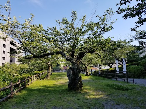 Hamamatsu
